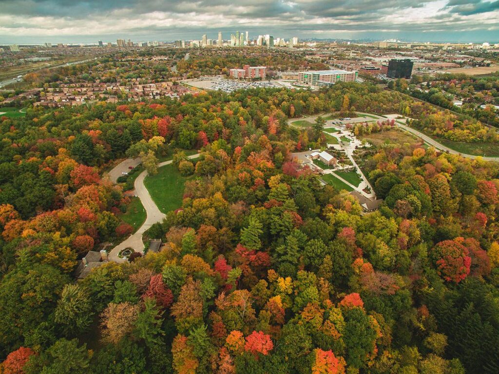fall colours in mississauga captured with drone